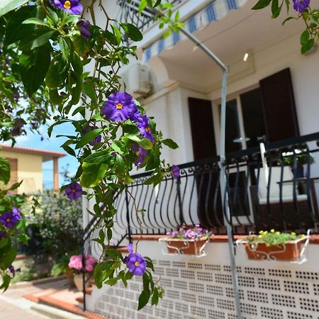 Villa Elisabetta Apartments Pula Eksteriør billede